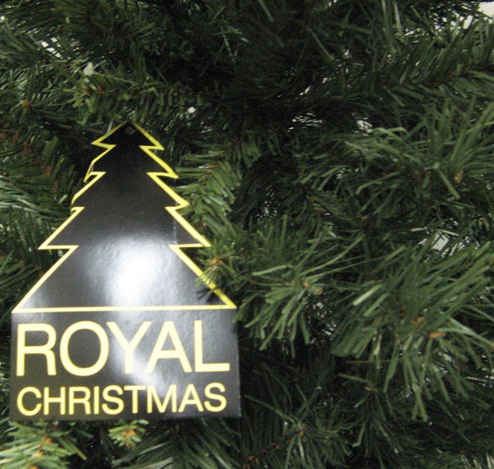 Ель Royal Christmas Dover 521180 (180см)